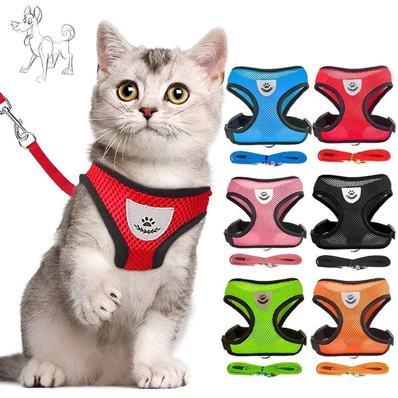 Coleira Peitoral com Guia para Cães e Gatos - PetComfort