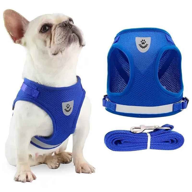 Coleira Peitoral com Guia para Cães e Gatos - PetComfort