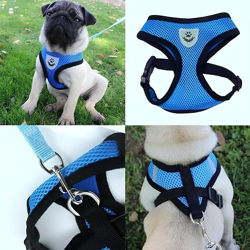 Coleira Peitoral com Guia para Cães e Gatos - PetComfort